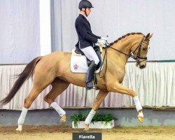 dressage horse Fiarella (Rhinelander, 2016, from Fürst Fohlenhof)