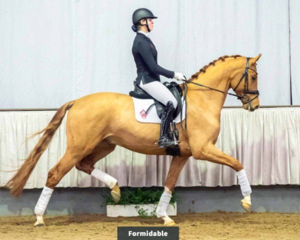 dressage horse Formidable (Westphalian, 2016, from For Romance I)