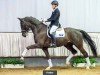 dressage horse Fiador R (Hanoverian, 2014, from Franziskus FRH)