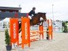 Springpferd Highlight (Oldenburger, 2019, von Hickstead White)