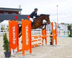 jumper Highlight (Oldenburg, 2019, from Hickstead White)