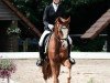 dressage horse Henri 38 (German Riding Pony, 2020, from Herzzauber D)