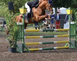 dressage horse Sandpiper (German Sport Horse, 2019, from Watermill Scandic)