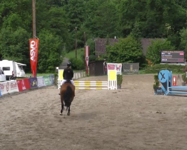 Reitturnier Tillmitsch 2023