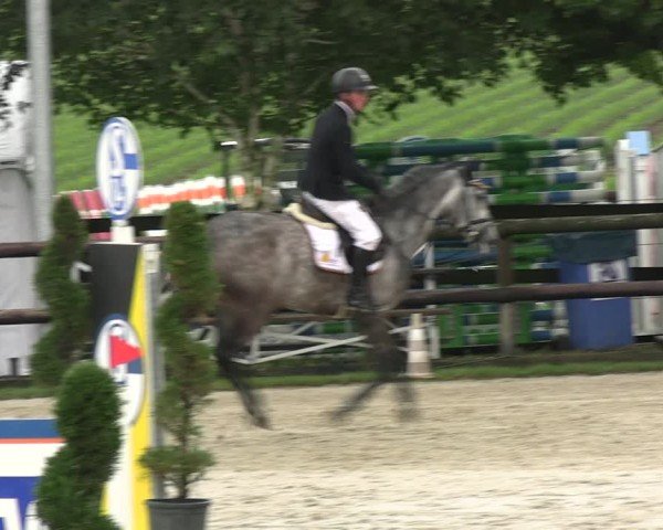 Reitturnier Kirchhellen/Stall Dieckmann 2024