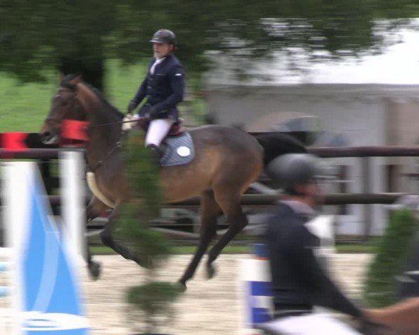 Reitturnier Kirchhellen/Stall Dieckmann 2024