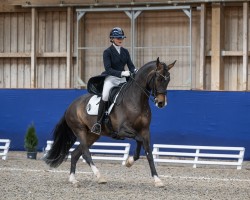 dressage horse Second Sister vom Rosencarree (Oldenburg, 2015, from Sandro Hit)