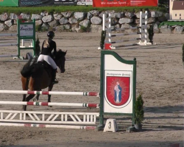 Reitturnier Preding 2022