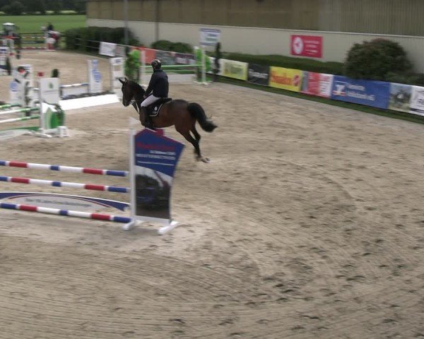 Reitturnier Kirchhellen/Stall Dieckmann 2024