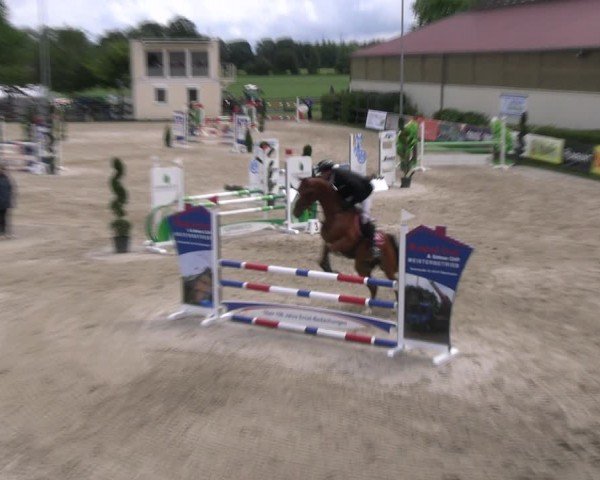 Reitturnier Kirchhellen/Stall Dieckmann 2024