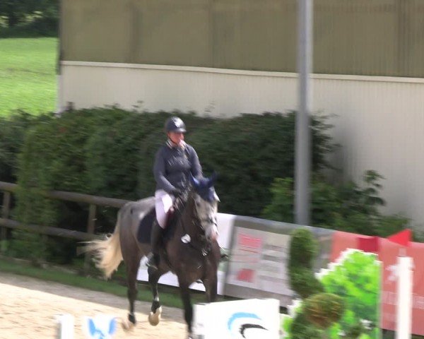 Reitturnier Kirchhellen/Stall Dieckmann 2024