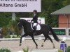 dressage horse Scharlotte 3 (German Sport Horse, 2018, from Secret)