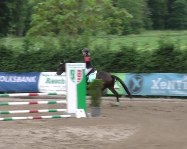 Reitturnier Tillmitsch 2023