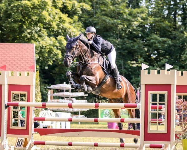 jumper Caramba Caracho 4 (Oldenburg show jumper, 2011, from Cascall)