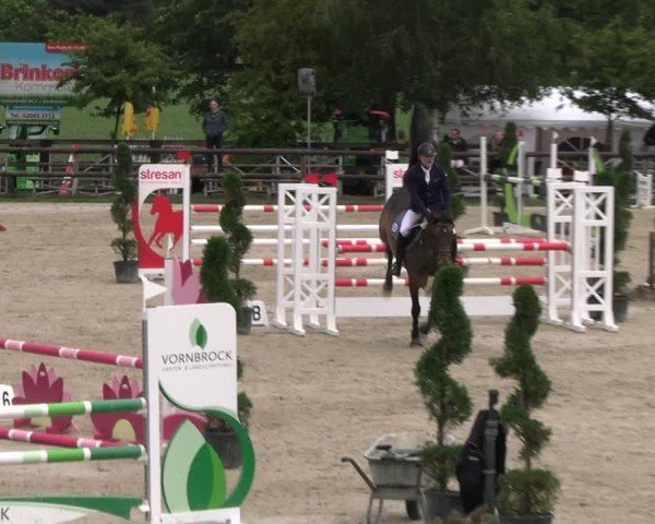 Reitturnier Kirchhellen/Stall Dieckmann 2024