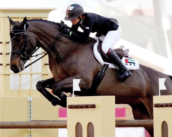 broodmare Peanuts de Beaufour (Selle Français, 2003, from Diamant de Semilly)