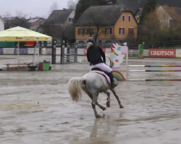 Reitturnier Gniebing-Feldbach 2022