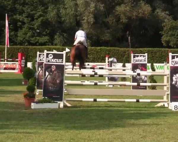 Westfalen-Woche 2012 Münster Handorf