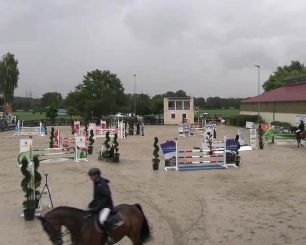 Reitturnier Kirchhellen/Stall Dieckmann 2024