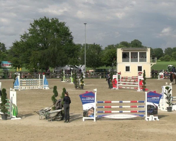 Reitturnier Kirchhellen/Stall Dieckmann 2024
