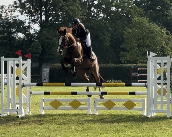 jumper Scarabea 2 (Hanoverian, 2009, from Staron)