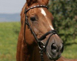 broodmare Tamina (unknown, 1988, from Cor de la Bryère)