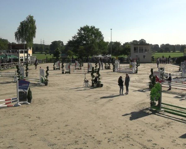 Reitturnier Kirchhellen/Stall Dieckmann 2024