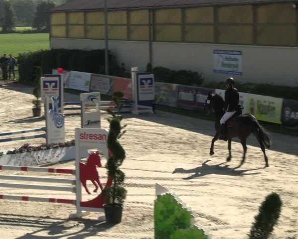Reitturnier Kirchhellen/Stall Dieckmann 2024