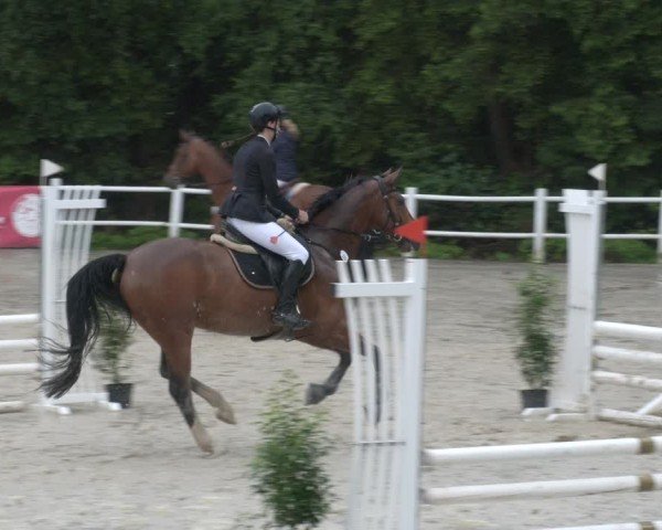 Reitturnier Losheim am See 2024