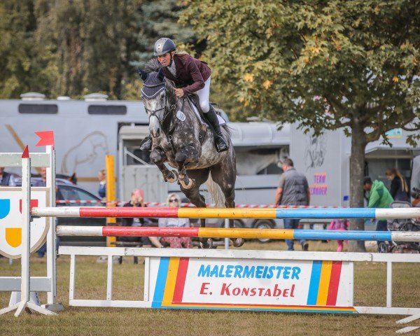 jumper Mon Amie B 3 (German Sport Horse, 2017, from Mont Blanc 34)