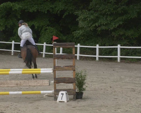Reitturnier Losheim am See 2024