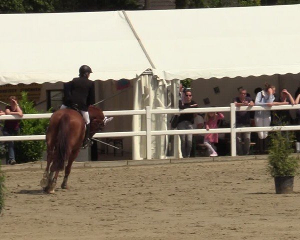 Reitturnier Dortmund-Somborn 2024