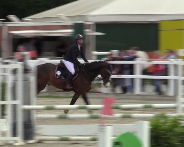 Reitturnier Dortmund-Somborn 2024