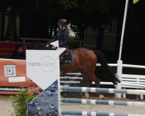 Reitturnier Losheim am See 2024