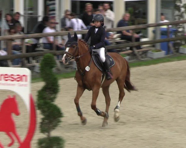 Reitturnier Kirchhellen/Stall Dieckmann 2024