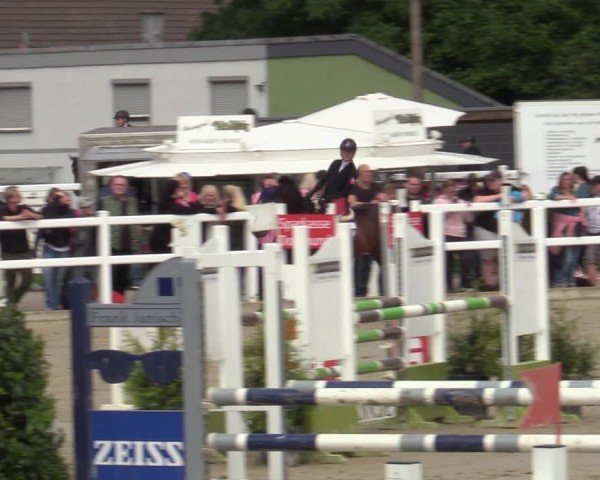 Reitturnier Dortmund-Somborn 2024