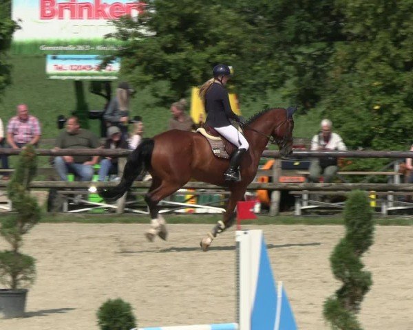 Reitturnier Kirchhellen/Stall Dieckmann 2024
