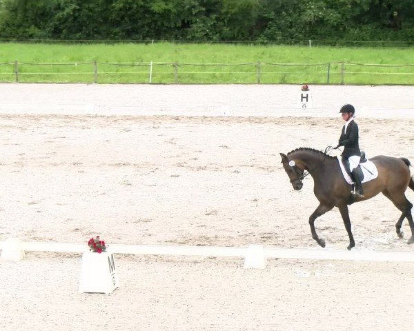 Reitturnier Gossau 2024
