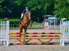 jumper Cherie de Coer (Hanoverian, 2018, from Catch)