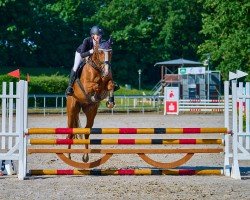 jumper Cherie de Coer (Hanoverian, 2018, from Catch)