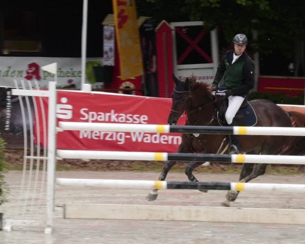 Reitturnier Losheim am See 2024