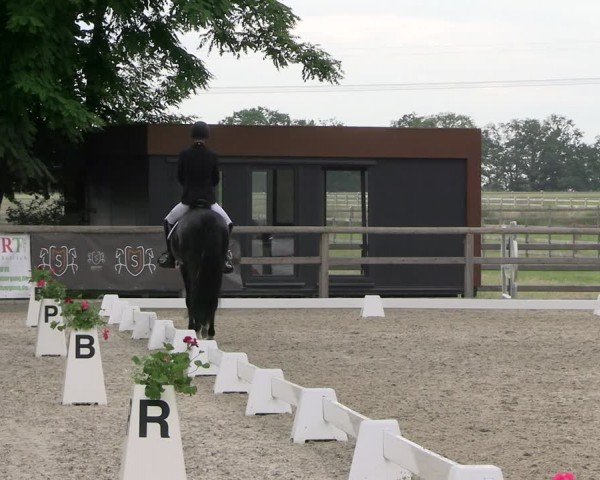Reitturnier Ruhlsdorf 2024