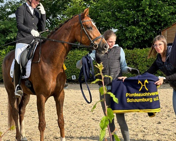 dressage horse Bond's Girl CK (Hanoverian, 2021, from Bonds)