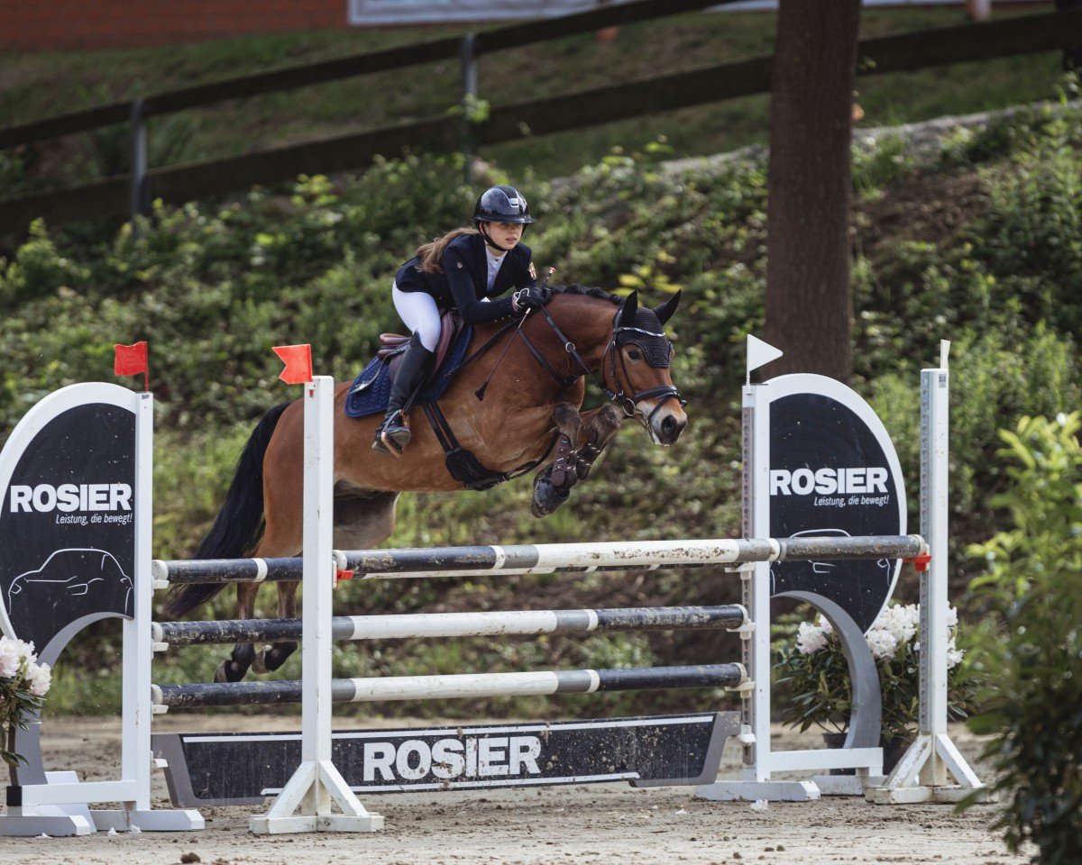 jumper Subliem's Monaco (New Forest Pony, 2014, from Reekamp's Slogan)