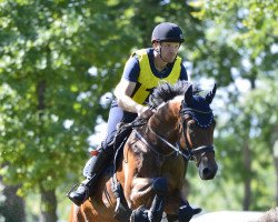 jumper bluerave Candisz (German Warmblood, 2014, from Chuzco Cherry)