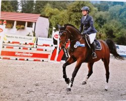 jumper Call Me Caleya (German Warmblood, 2016, from Canandos)