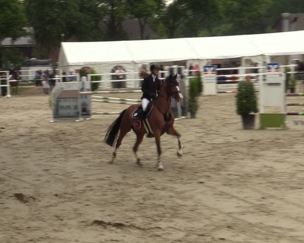 Reitturnier Dortmund-Somborn 2024