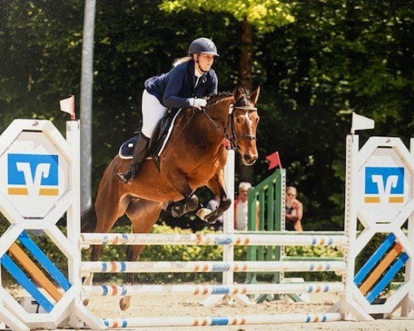 broodmare Simsalabim VJ (Luxembourg horse, 2020, from Soberano)