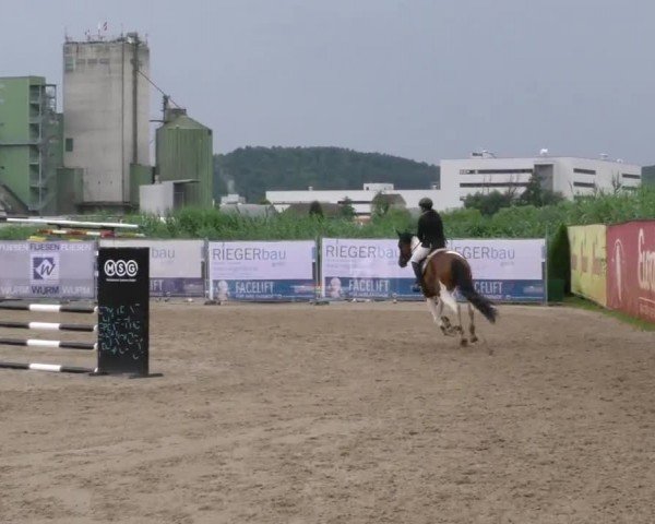 Reitturnier Gniebing-Feldbach 2023