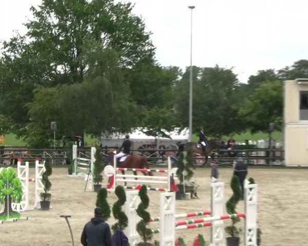 Reitturnier Kirchhellen/Stall Dieckmann 2024
